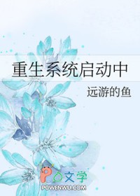 重生系统启动中